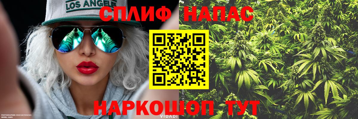 МАРИХУАНА сатива  Вход с VPN  Георгиевск  Шишки марихуана сатива  Шишки марихуана сатива 